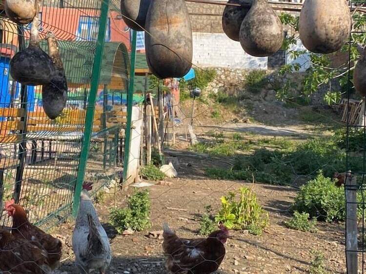 Oz Butik Otel Antik Kent Myrleia