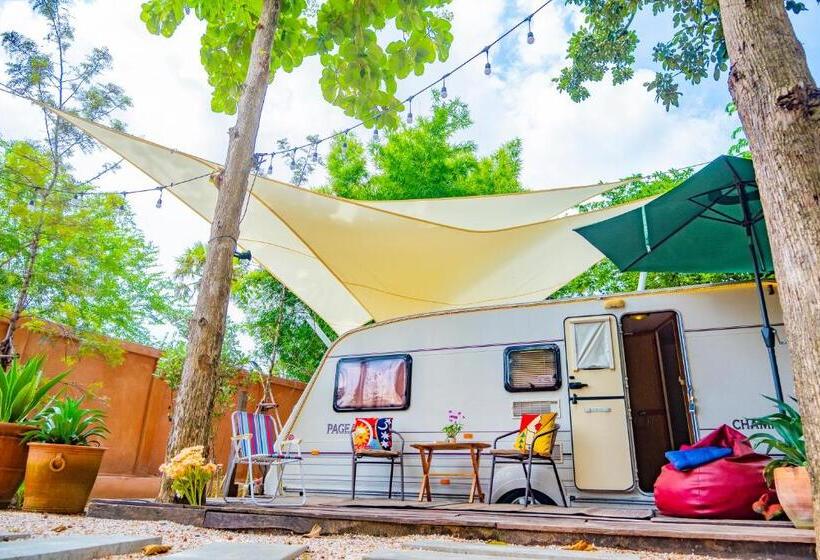 T Rex Buriram Boutique Hotel New Hotel In Buriram