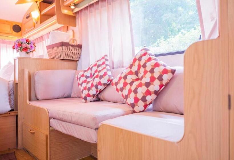 T Rex Buriram Boutique Hotel New Hotel In Buriram