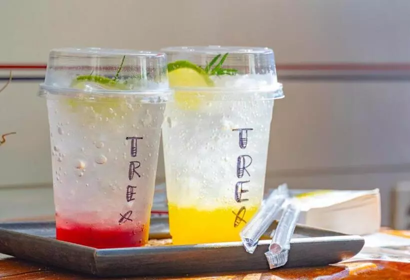 T Rex Buriram Boutique Hotel New Hotel In Buriram