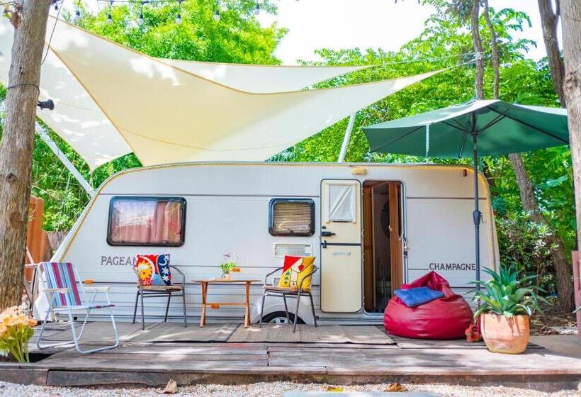 T Rex Buriram Boutique Hotel New Hotel In Buriram