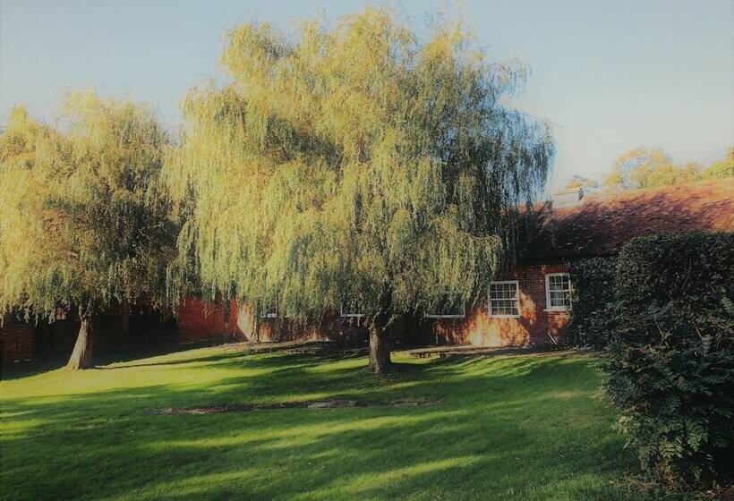 تختخواب و صبحانه Beachborough Park