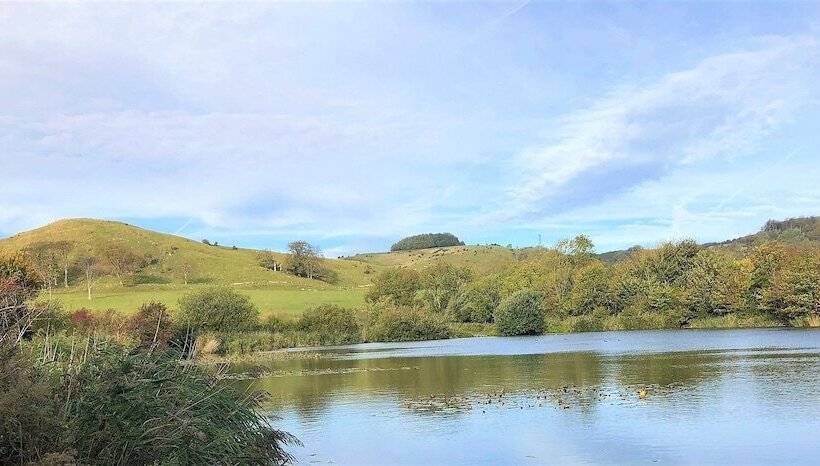 تختخواب و صبحانه Beachborough Park