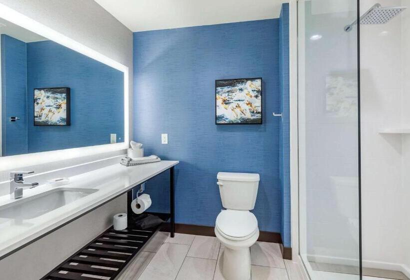 Cambria Hotel Davenport Quad Cities