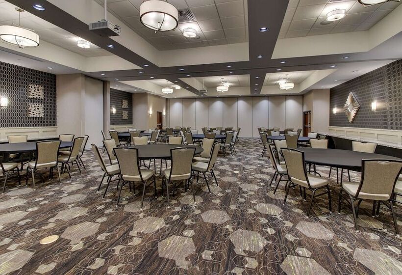 Drury Plaza Hotel Dallas Richardson