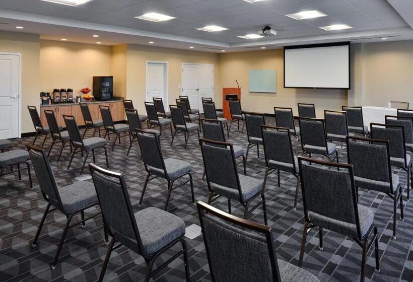 בית מלון כפרי Towneplace Suites By Marriott Detroit Belleville