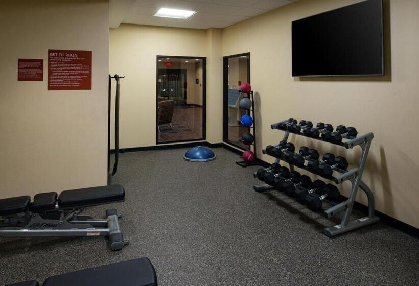 בית מלון כפרי Towneplace Suites By Marriott Detroit Belleville