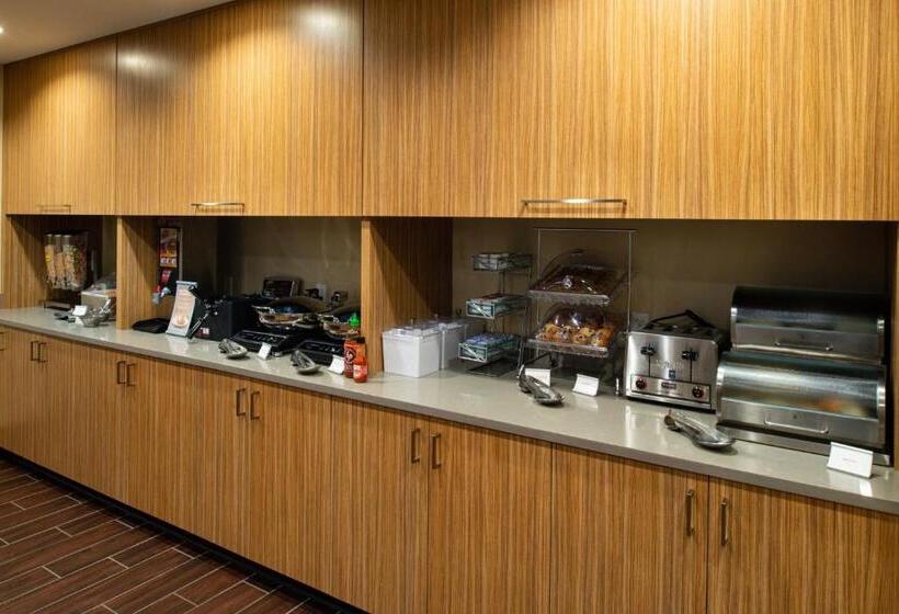 בית מלון כפרי Towneplace Suites By Marriott Detroit Belleville