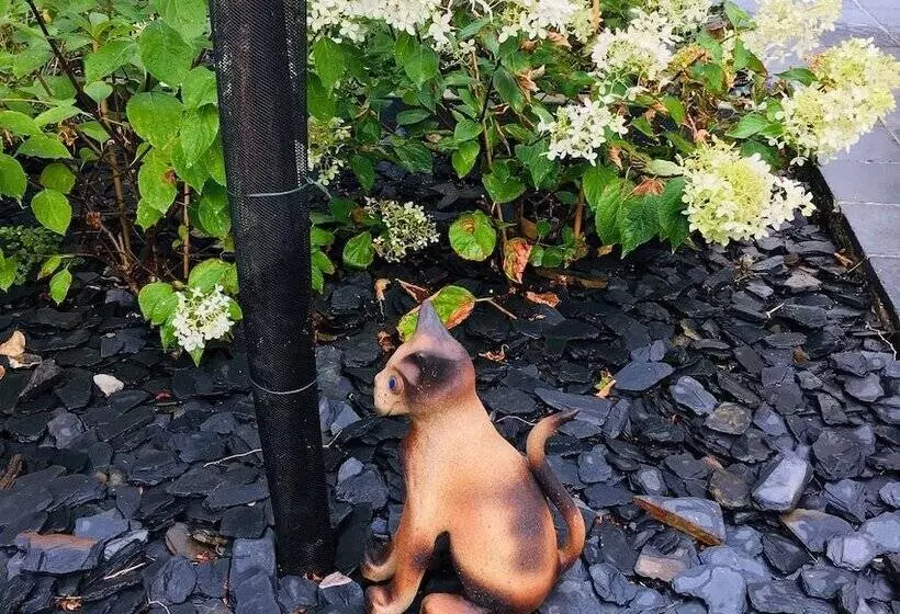 Majatalo Les Chambres D Hotes Du Palais
