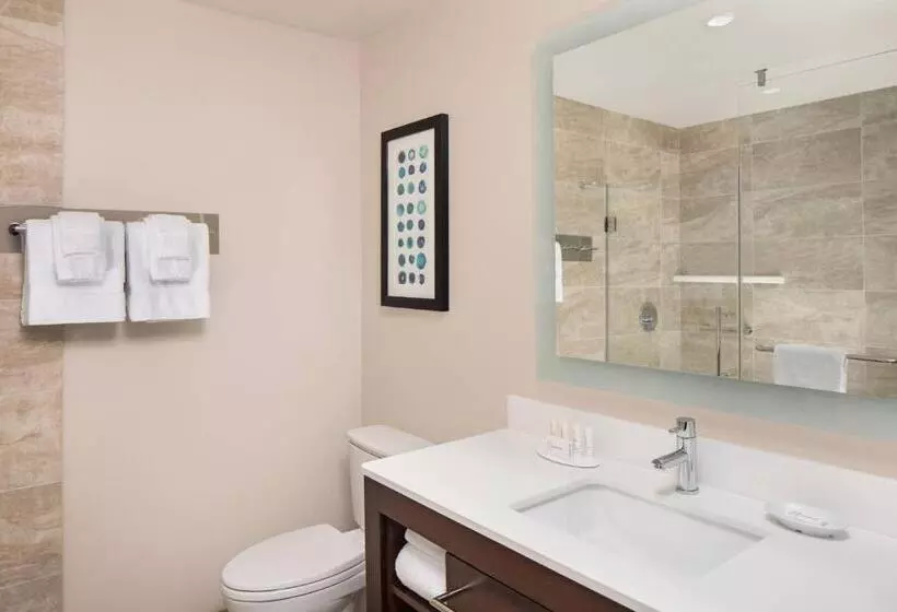 Residence Inn By Marriott Seattle South/renton