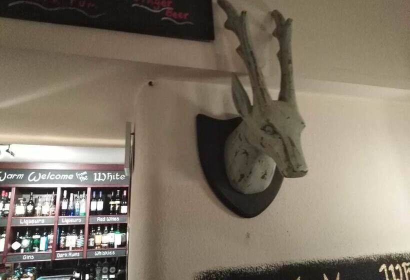 Hostal The White Hart