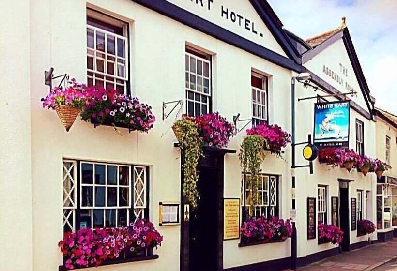 Hostal The White Hart