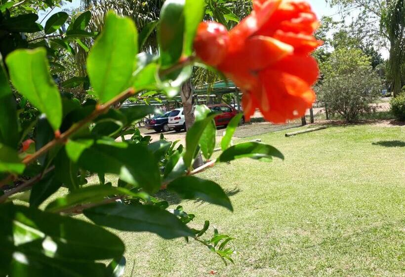 Отель Village Termas Del Dayman