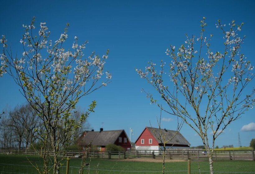 Mattisgården Bed & Breakfast