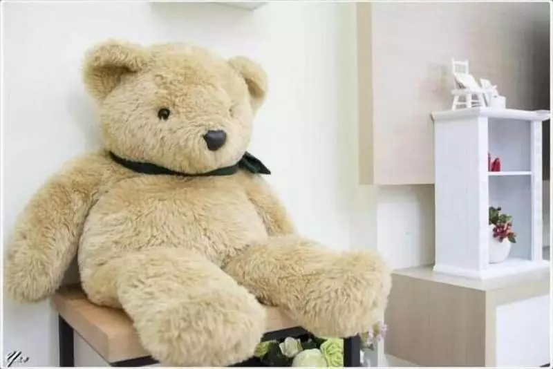 پانسیون 台東市區 森白屋 六人 八人 十二人 包棟民宿