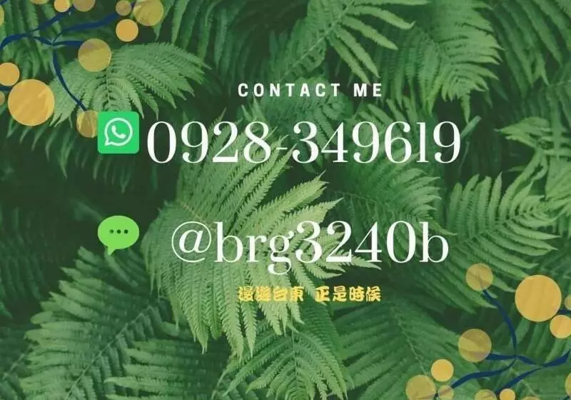 پانسیون 台東市區 森白屋 六人 八人 十二人 包棟民宿