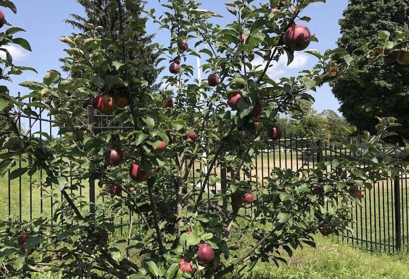 استراحتگاه Eastover Estate & Eco Village