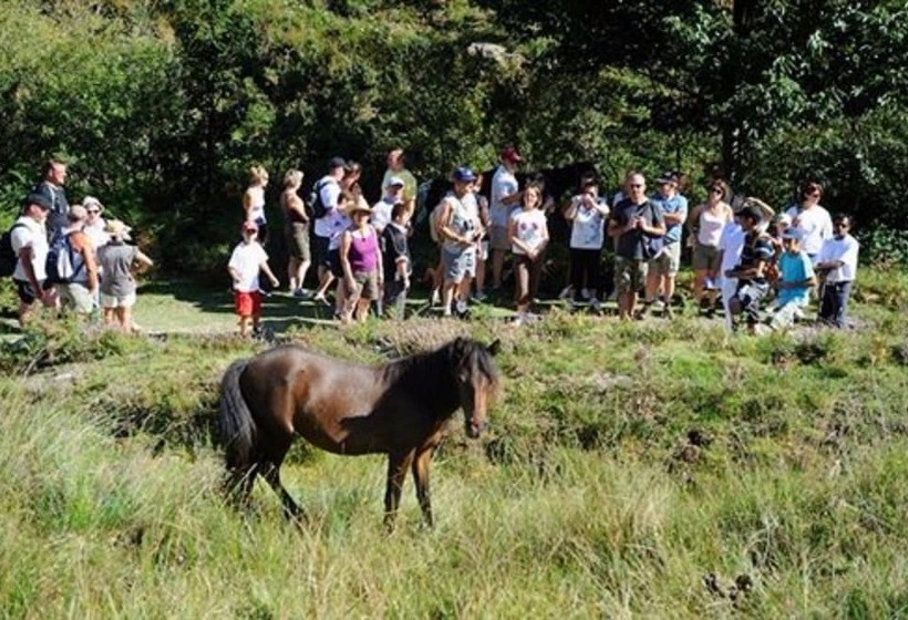 منتجع Village Club Le Saint Ignace