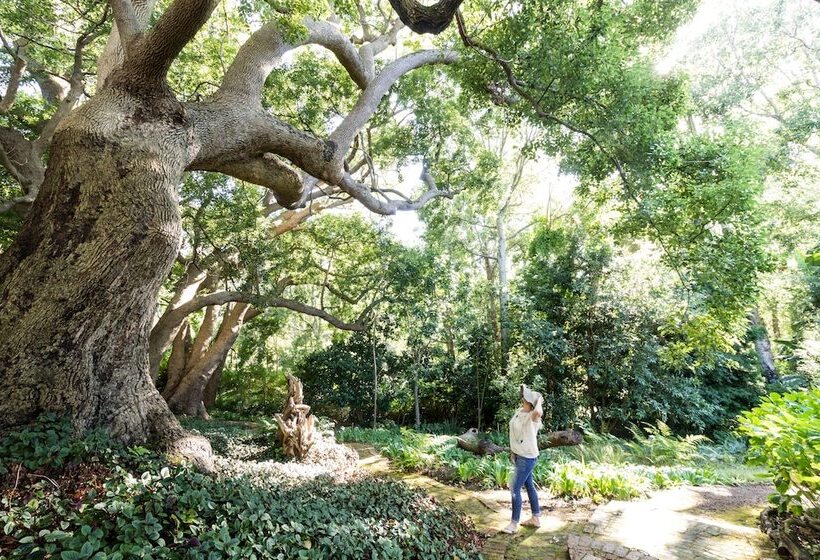 호텔 The Cellars Hohenort