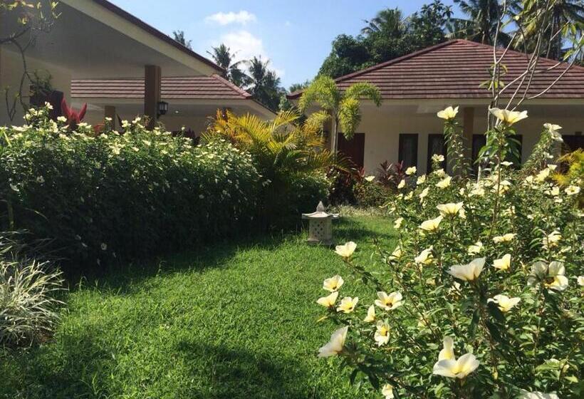 تختخواب و صبحانه D Batur