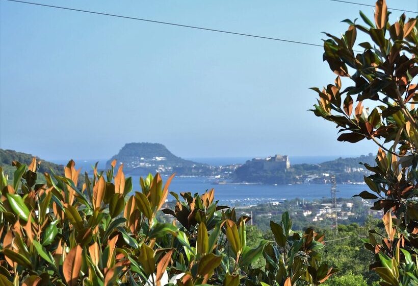 צימר Puteoli House