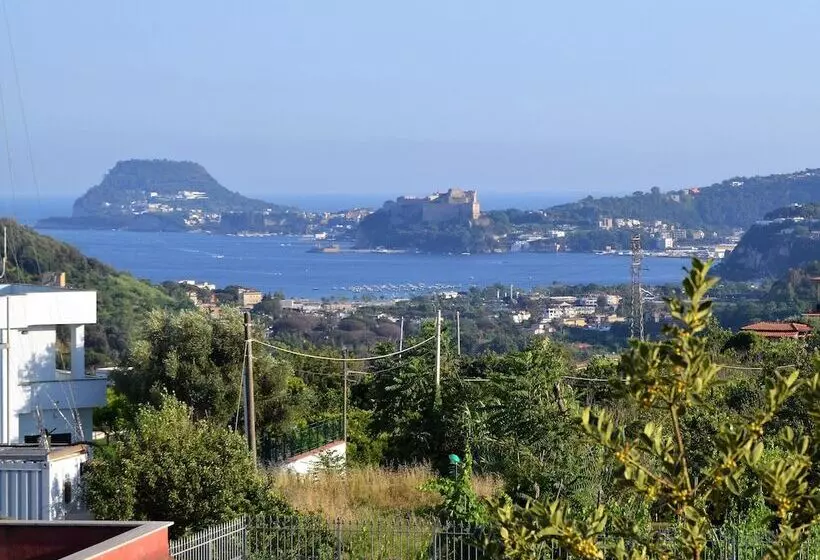 Aamiaismajoitus (B&B) Puteoli House