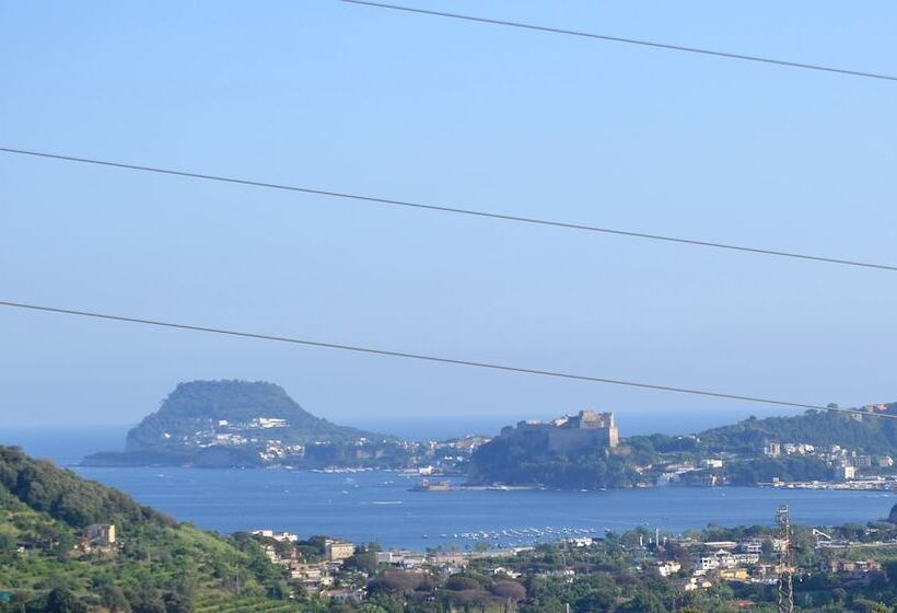 צימר Puteoli House