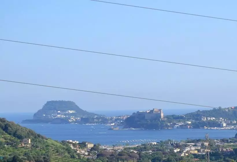 Aamiaismajoitus (B&B) Puteoli House