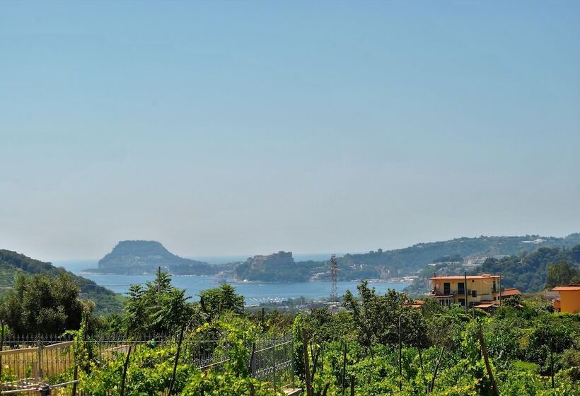 צימר Puteoli House