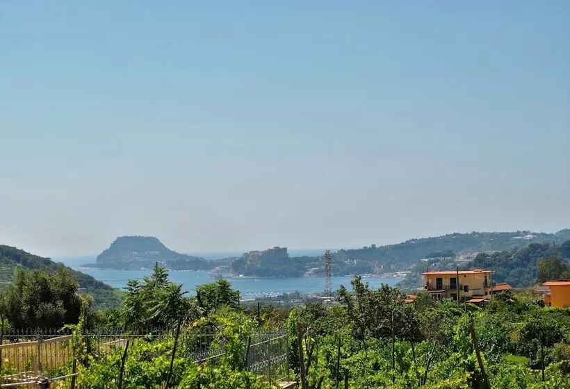 Aamiaismajoitus (B&B) Puteoli House