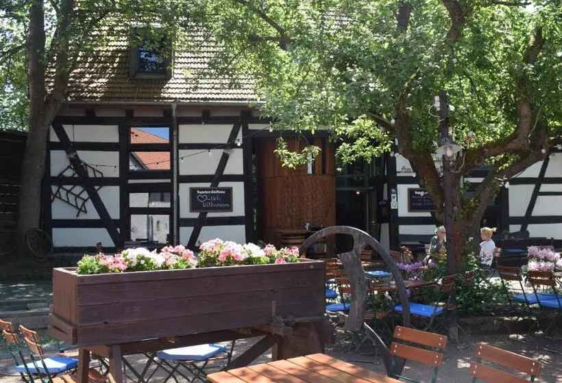 پانسیون Gasthof Gästehaus Am Storchenturm