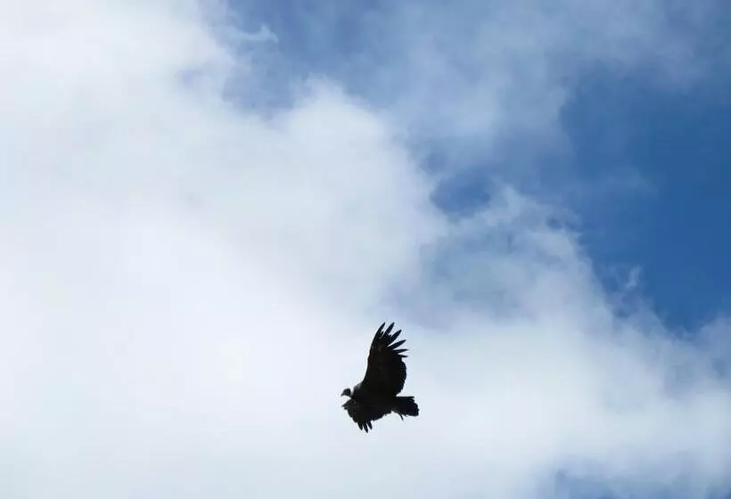 ベッドアンドブレックファースト Alto Verde Hosteria