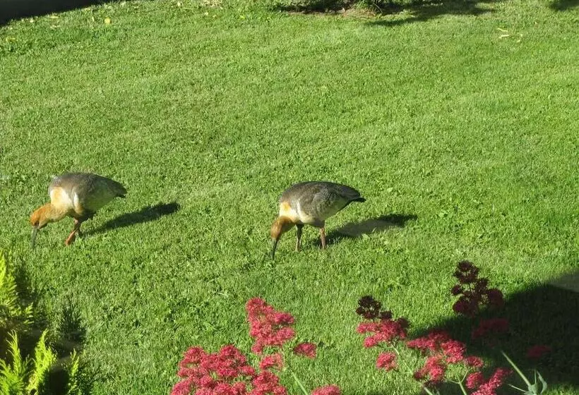 ベッドアンドブレックファースト Alto Verde Hosteria