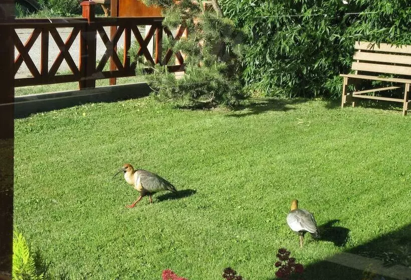 ベッドアンドブレックファースト Alto Verde Hosteria