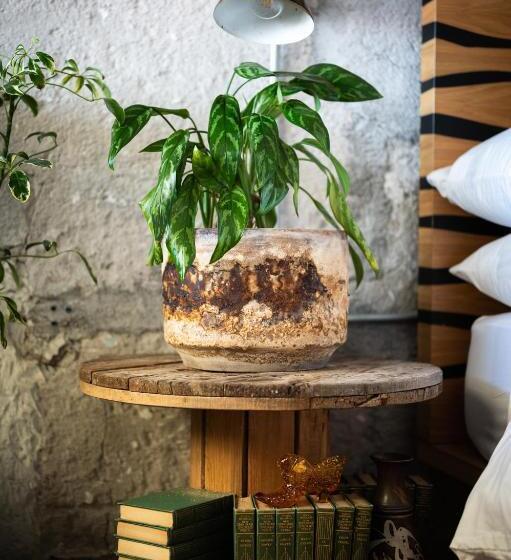 Отель Boutique Lafayette Tijuana