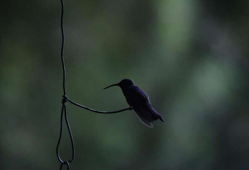 Hotel Casa Del Pozo Azul Minca