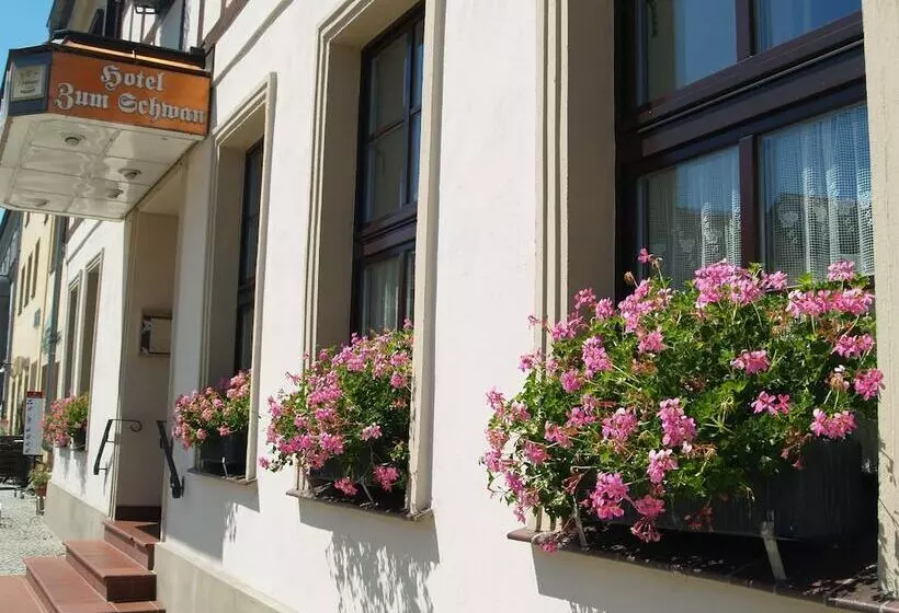 Hotelli Zum Schwan