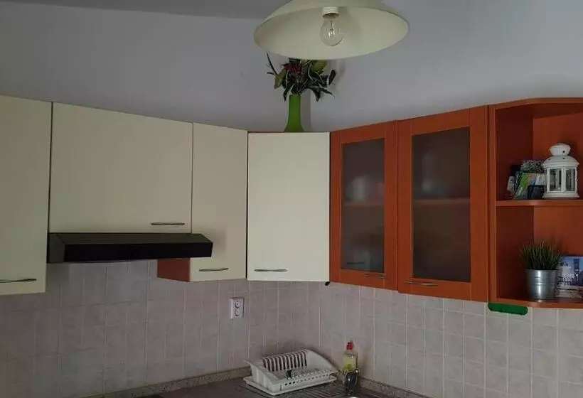 ペンション Apartments Boćin Rosso