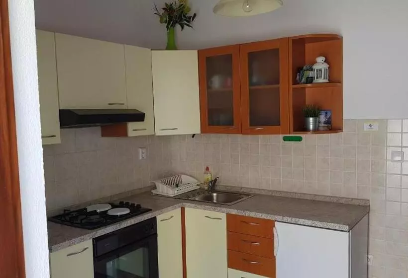 ペンション Apartments Boćin Rosso