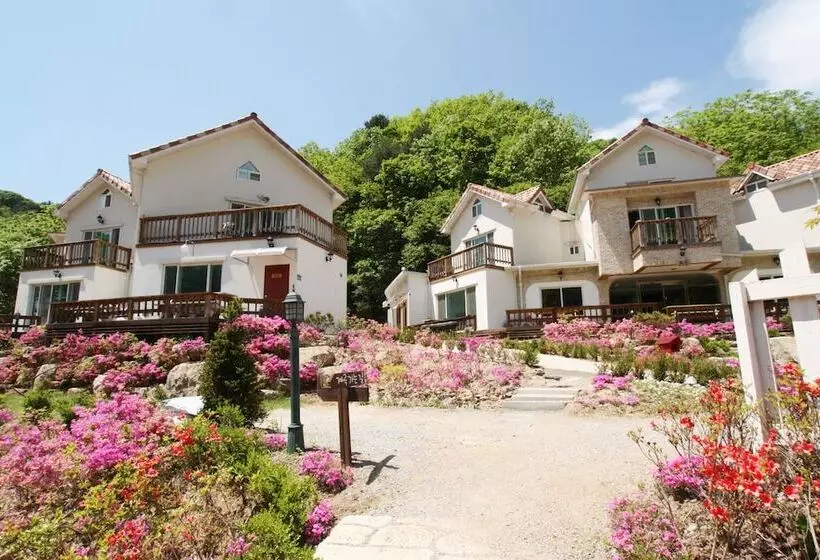 Art Lu Pension