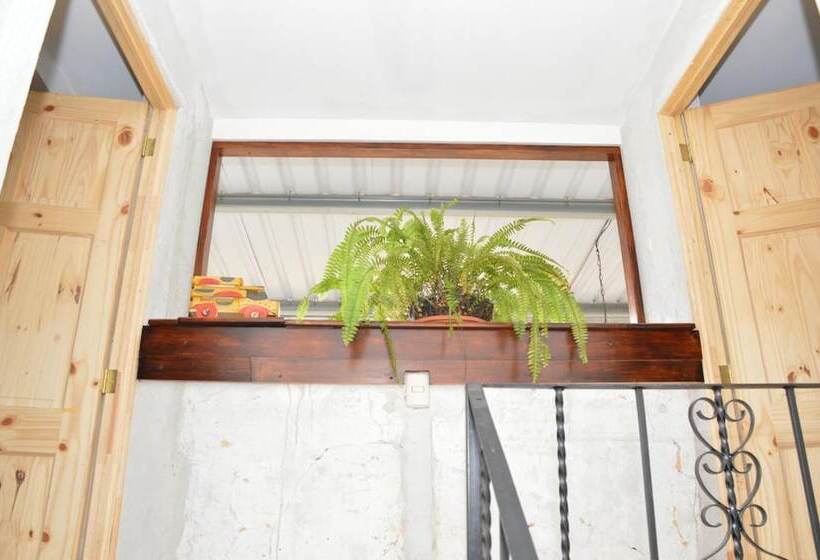 تختخواب و صبحانه Casa Jocotenango   Centro Historico