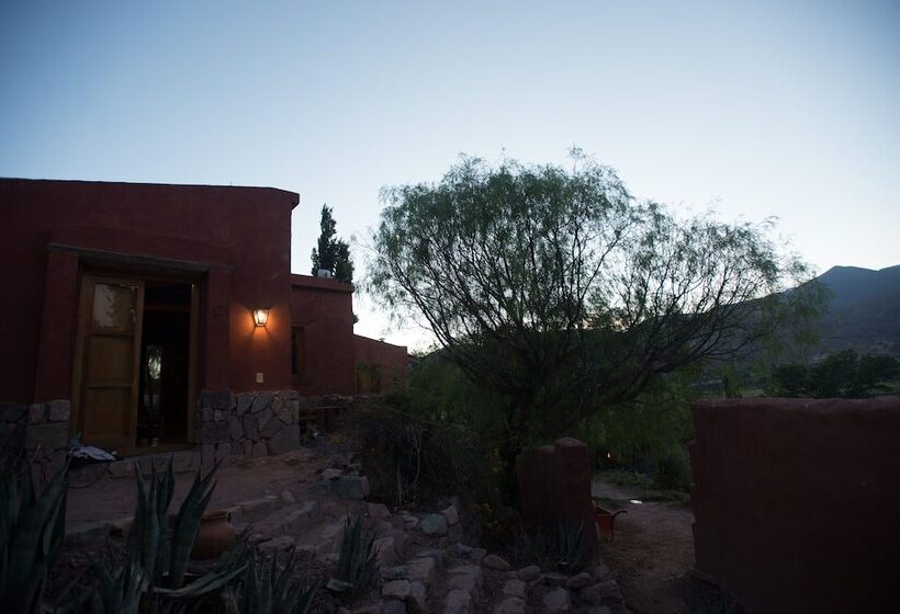 Hotel Cerro Chico Lo Del Frances