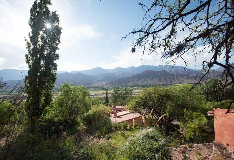 Hotel Cerro Chico Lo Del Frances