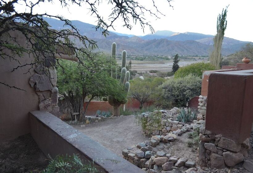 Hotel Cerro Chico Lo Del Frances