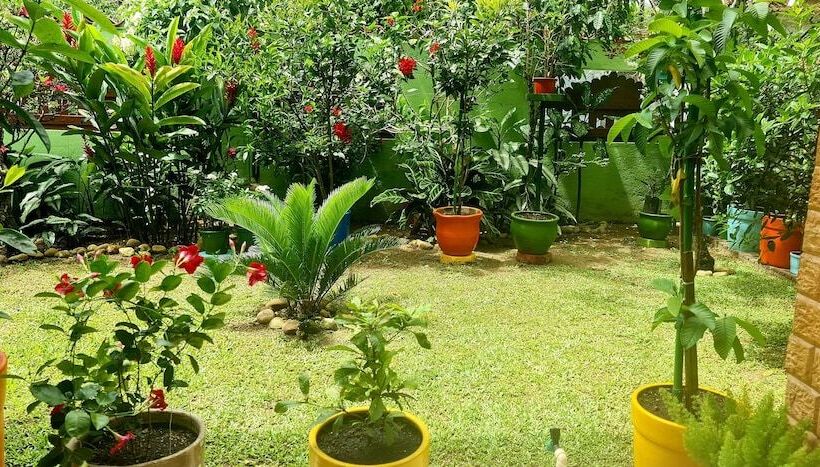 هتل Pousada Flor De Paraty