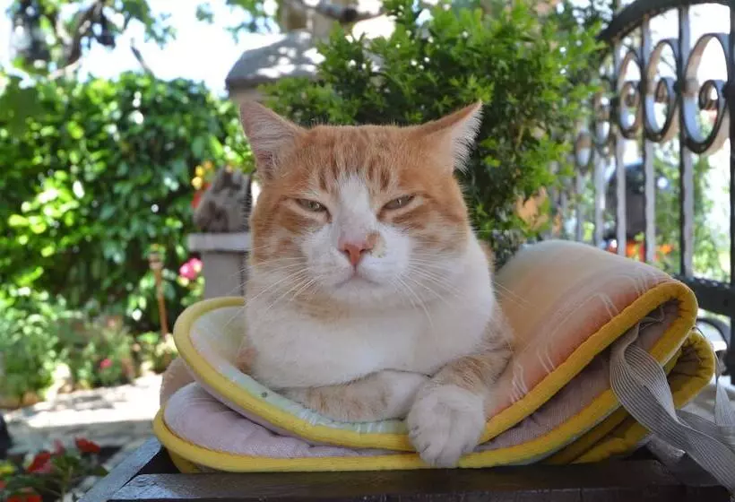 Guesthouse Mila