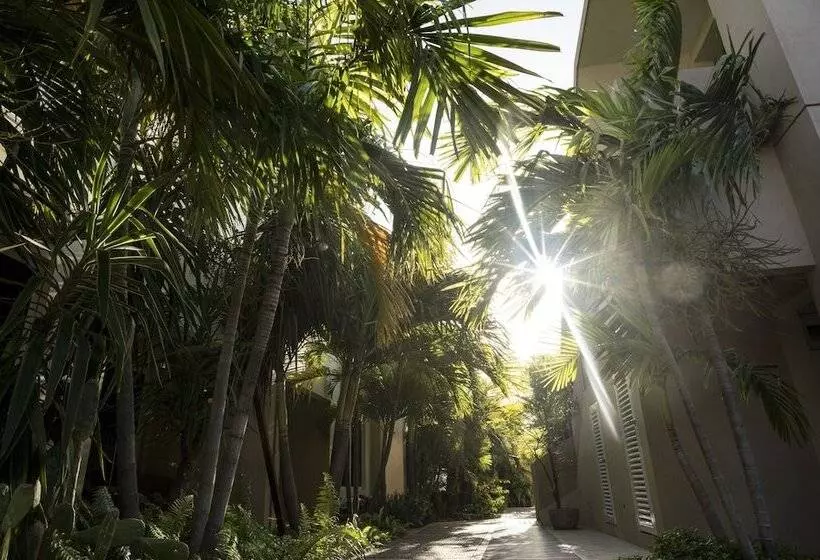 Costa Esmeralda Village
