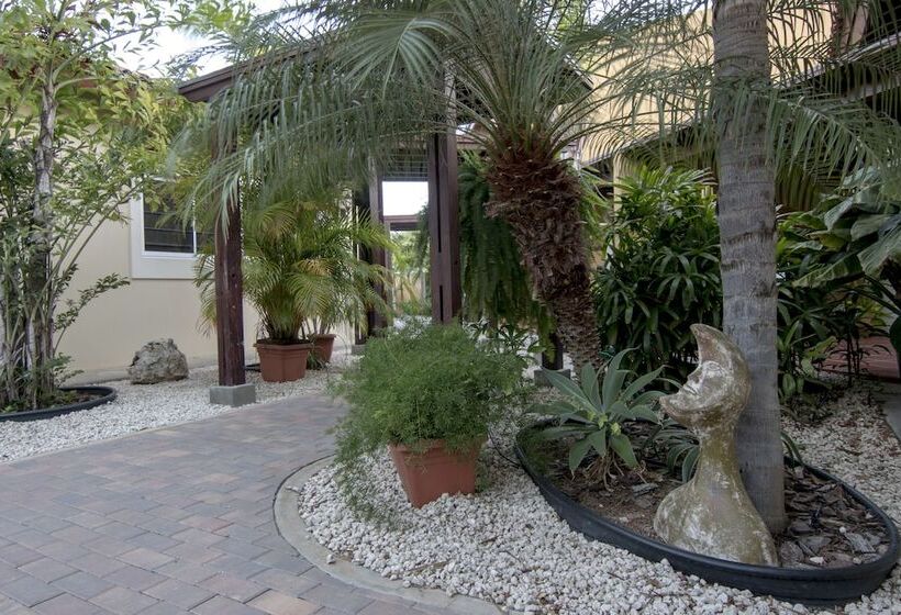 Costa Esmeralda Village