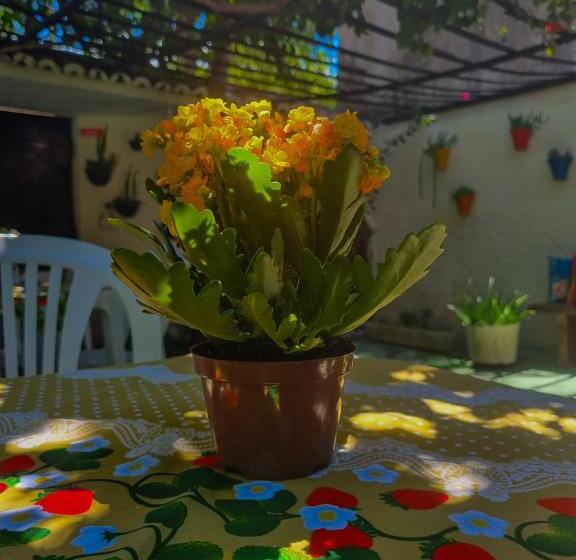 Отель Pousada Residencial Porto De Galinhas