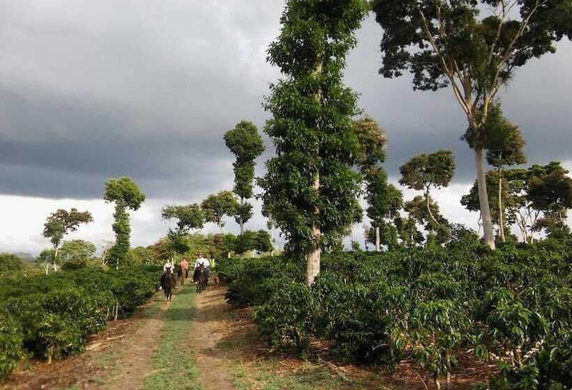 هتل روستایی Finca Agroturistica Alejandria